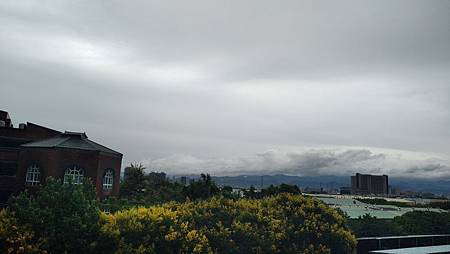 IMG_20190930_071334 IMG_20190930_071334