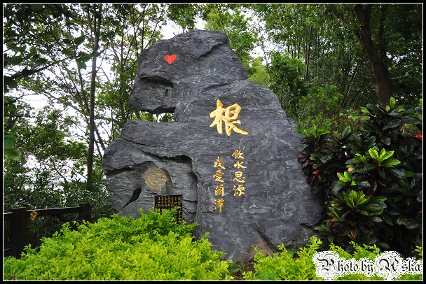 DSC_7176.jpg DSC_7176.jpg