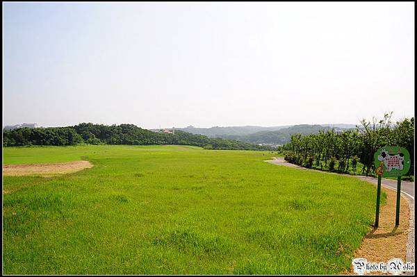DSC_5219 DSC_5219