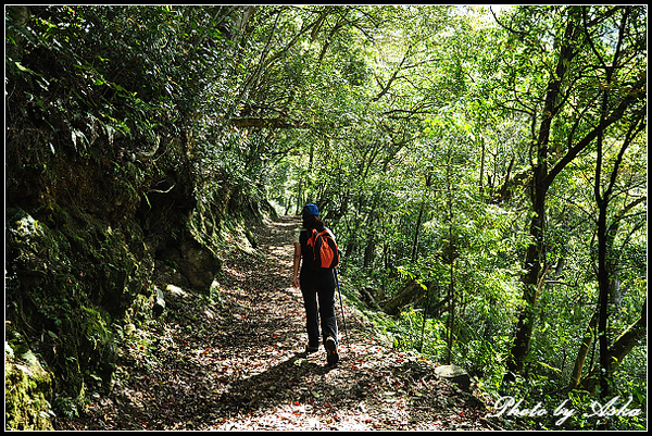DSC_0536.jpg DSC_0536.jpg