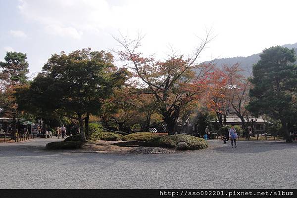 11240540中島公園庭園造景