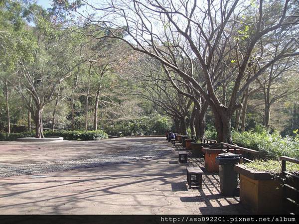 2016010402廣場上的綠樹與座椅 2016010402廣場上的綠樹與座椅