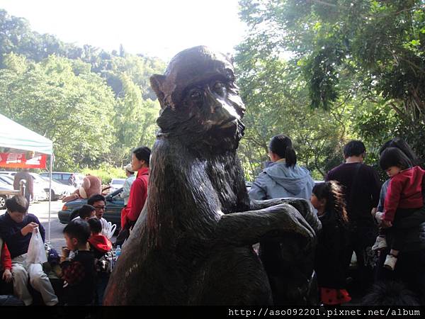 2016010413猴看人人看猴 2016010413猴看人人看猴