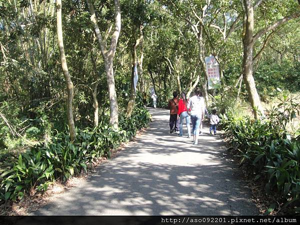2016010418靜的豐柏步道 2016010418靜的豐柏步道