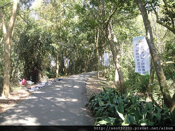2016010419幽靜的豐柏步道 2016010419幽靜的豐柏步道