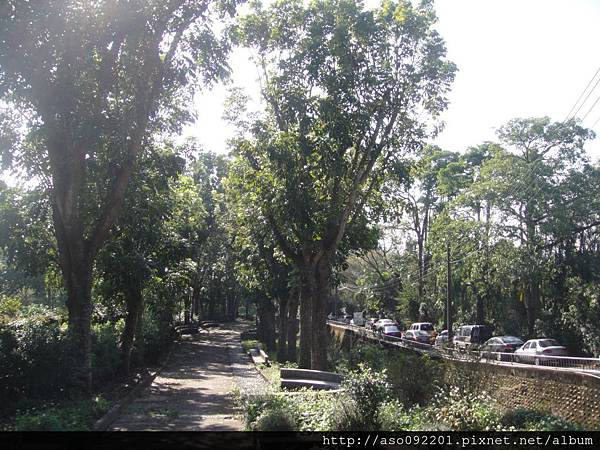 2016010451往豐柏廣場的步道 2016010451往豐柏廣場的步道