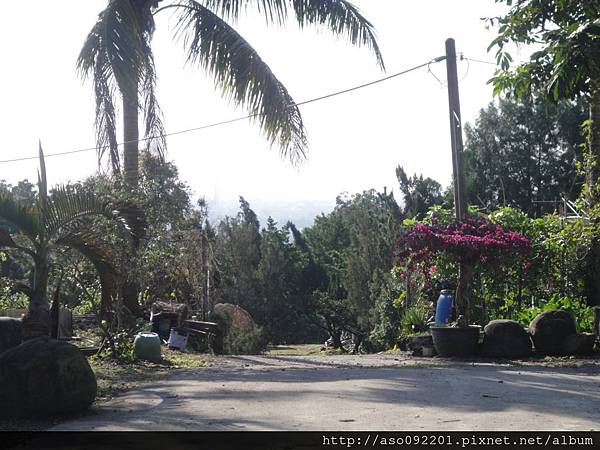 2016010452停車場對面的花園