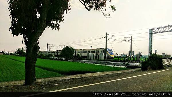 2016122504附近的田園風光