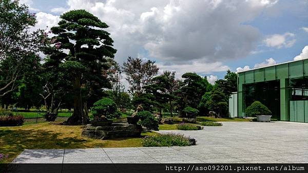 2017010803入口處附近的盆景