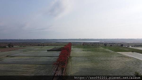 2020030702竹塘木棉花空中俯瞰.JPG 2020030702竹塘木棉花空中俯瞰.JPG