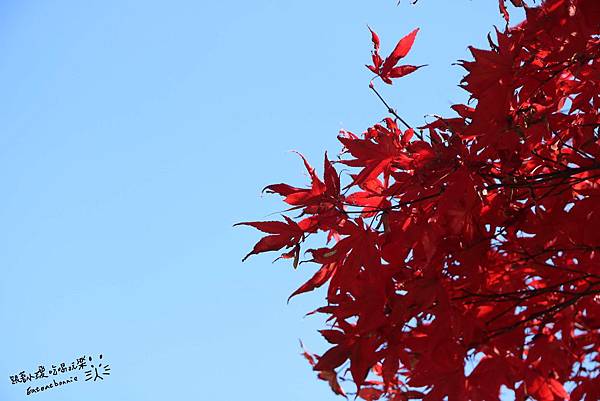 山寺06.JPG