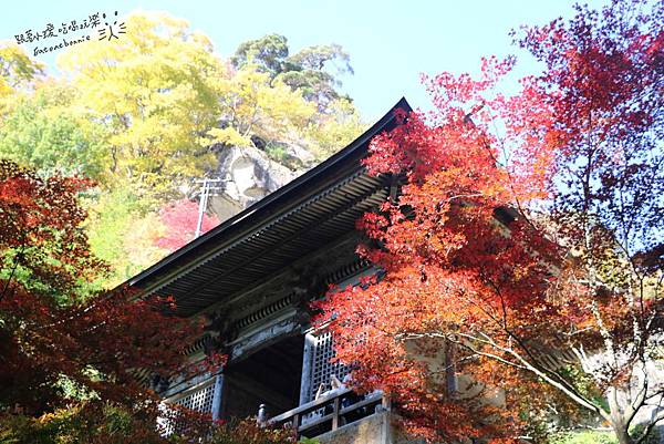 山寺13.JPG