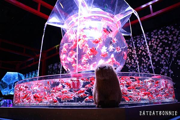 %E6%9C%AA%E5%91%BD%E5%90%8D