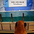 水族館16.JPG