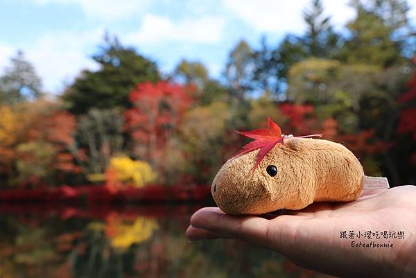 輕井澤13.JPG 輕井澤13.JPG