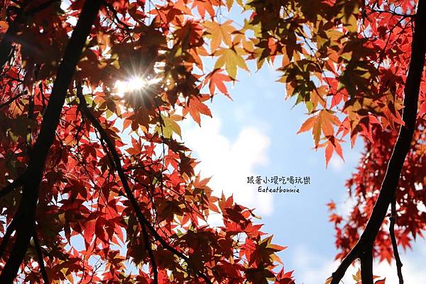 輕井澤11.JPG 輕井澤11.JPG