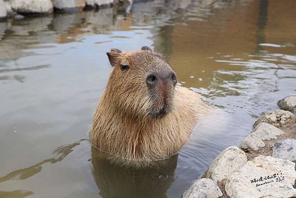 那須24.JPG 那須24.JPG