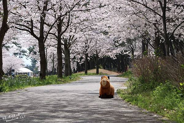 海之中道04.JPG