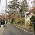 IMG_0501.JPG