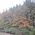 IMG_0525.JPG