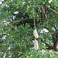 IMG_0034.JPG