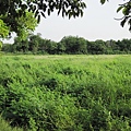 IMG_0037.JPG