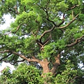 IMG_0038.JPG