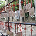 IMG_0045.JPG