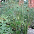 IMG_0088.JPG