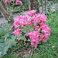 IMG_0118.JPG
