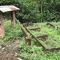 IMG_0488