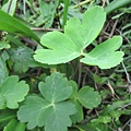 IMG_5402.JPG