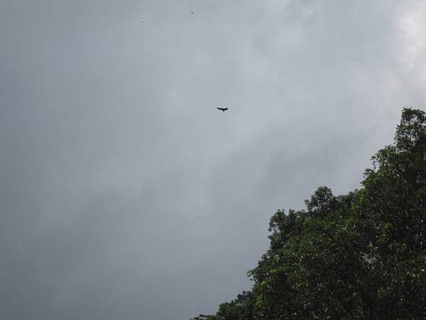 IMG_6429.JPG
