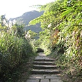 IMG_8714.JPG