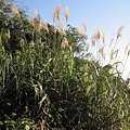IMG_8770.JPG