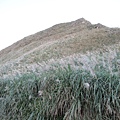 IMG_8790.JPG