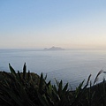 IMG_8793.JPG