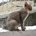 IMG_0040.JPG