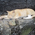 IMG_0029.JPG