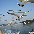 IMG_0407.JPG