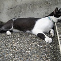 IMG_0031.JPG