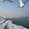 IMG_0428.JPG