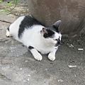 IMG_0138.JPG