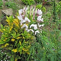 IMG_0038.JPG