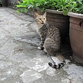 IMG_0119.JPG
