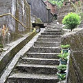 IMG_0048.JPG