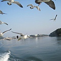 IMG_0403.JPG