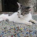 IMG_0093.JPG