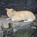 IMG_0016.JPG