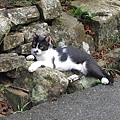 IMG_0014.JPG